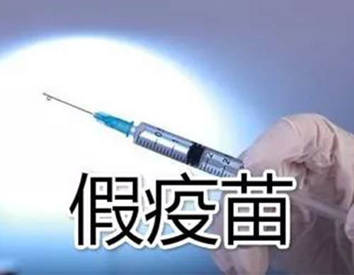 非洲豬瘟有疫苗了？假的！