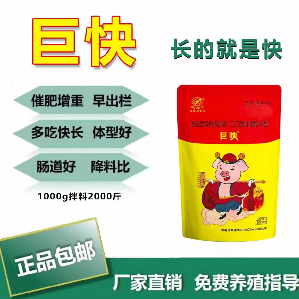 生豬如何高效催肥？