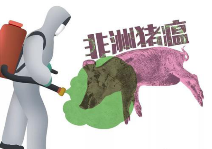 6月份最新一周?chē)?guó)際動(dòng)物疫情動(dòng)態(tài)（非洲豬瘟）